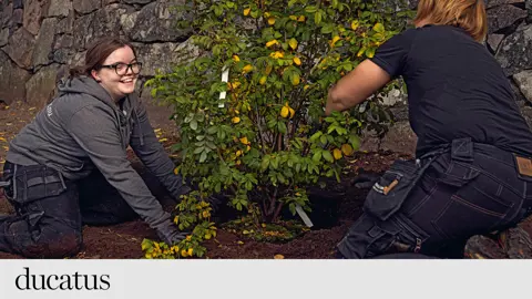 Det här innebär en aspirantanställning